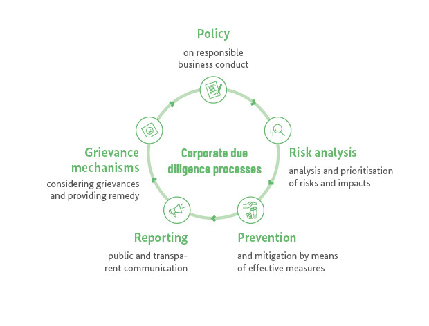 Graphic explanation of corporate due diligence processes: Policy, risk analysis, prevention, reporting and grievance mechanisms